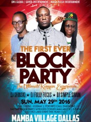 The First Ever Block Party